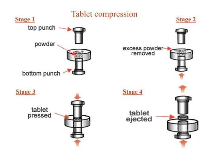 7Tablet Press-04 7Tablet Press-04